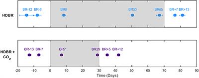 Head Down Tilt Bed Rest Plus Elevated CO2 as a Spaceflight Analog: Effects on Cognitive and Sensorimotor Performance